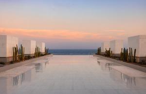 Ceru ColoradoにあるSecrets Baby Beach Aruba Adults Onlyの海を背景にプールを望めます。