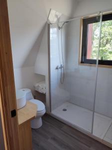 Un baño con inodoro y ducha de cristal. en Incredible Cerro Castillo Shelter, en Villa Cerro Castillo