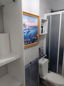 マルベーリャにあるHabitación 1 en piso compartido con acceso Zonas comunesのバスルーム(トイレ付)が備わります。壁に絵画が飾られています。