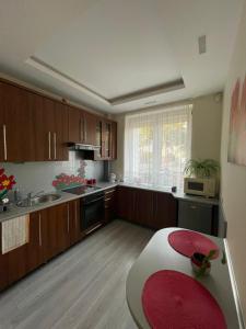 a large kitchen with wooden cabinets and a red rug at Miły zakątek in Olsztyn