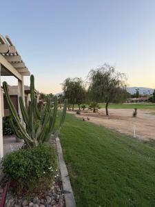 Zahrada ubytování Spacious 1 BR 1 BA Family Villa