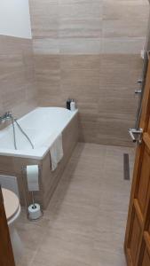 Bilik mandi di Konstantin Apartman