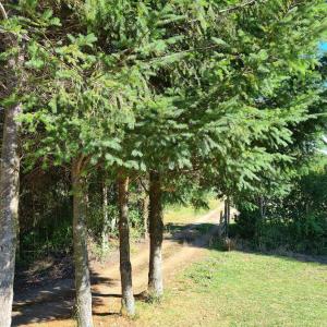 Φωτογραφία από το άλμπουμ του Cabaña en el campo σε Puyehue