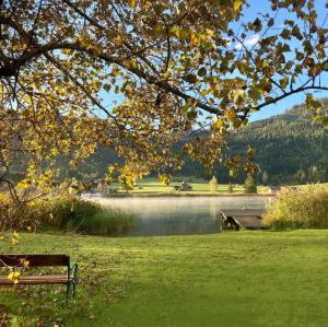 a park bench next to a lake with a tree at SeeHotel & SeeApartments Kärntnerhof- direkt am See! in Weissensee