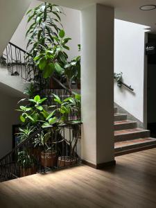 Photo de la galerie de l'établissement Hotel Plaza El Santuario, à Santuario