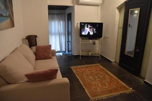 un salon avec un canapé et une télévision dans l'établissement Villa Corin, à Gornot HaGalil