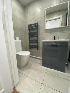 une salle de bain avec toilettes, lavabo et miroir dans l'établissement Modern en-suite rooms Luton air port, à Luton