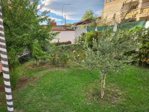 einen Garten mit einem kleinen Baum im Hof in der Unterkunft Jimmy Apartment in Tirane + 2 Fotos