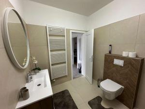 a bathroom with a toilet and a sink and a mirror at Apartman Kod Kestena in Osijek +11 photos