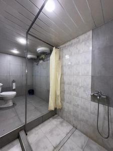 a bathroom with a shower and a toilet at Paronyan 20 guest hause in Yerevan