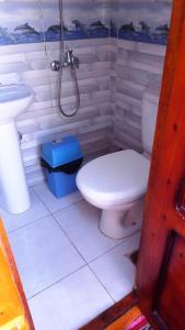 a bathroom with a toilet and a shower at Katadool Boat in Aswan +41 photos