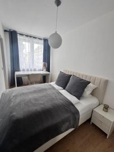 een slaapkamer met een groot bed en een raam bij Modern City Apartment 1 in München