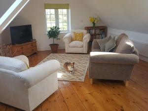 a cat sitting on a rug in a living room at 1 Bed in Taunton 75135 in Isle Brewers +16 photos