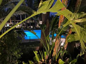 Πισίνα στο ή κοντά στο Fortuna suite Banus 2