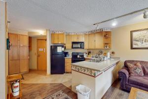 Кухня или мини-кухня в Iron Horse Resort 3063
