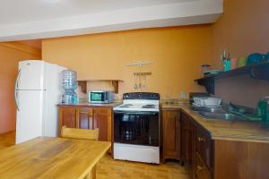 Kuchyň nebo kuchyňský kout v ubytování Spix's Macaw at De Real Macaw