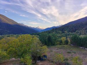 a view of a valley with mountains and trees at Chimpanzee Forest House in Karpenisi +21 photos