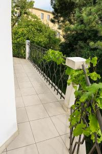 a stone walkway with a black fence and plants at Ubytování nad kostelem in Prague