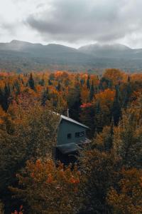a cabin in the middle of a forest of trees at Cottage 67 des Cervidés in Eastman