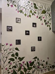 Φωτογραφία από το άλμπουμ του Green Olive σε Λάκναου +2 φωτογραφίες