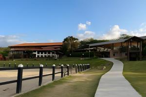 ein Hund, der einen Weg vor einem Gebäude entlangläuft in der Unterkunft Flat de luxo no Monte Castelo - by Haus in Bezerros