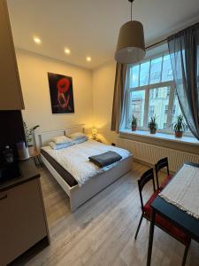 a bedroom with a bed and a window at Apartment Matīsa in Rīga