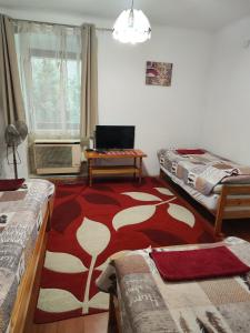 a room with two beds and a red and white carpet at Erik Apartments in Budapest +21 photos