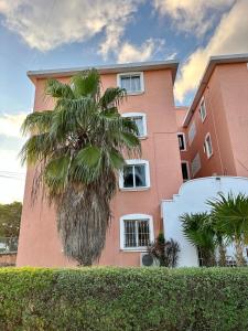 un palmier devant un bâtiment dans l'établissement Downtown Cancun Accommodation, à Cancún 29 autres photos