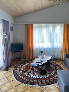 un salon avec un canapé et une table dans l'établissement Duplex Loft Apartment, à Evilard