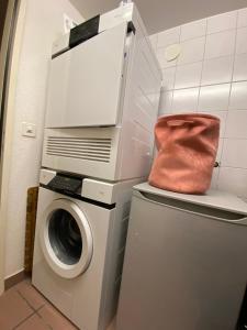 a washing machine next to a washer and a purse at Stylish Room and private bathroom in lakefront apartment in Zug
