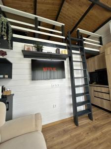 a loft bed in a living room with a spiral staircase at Recele Tiny Nest in Ilva Mare