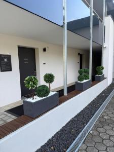 Una hilera de árboles en macetas al costado de un edificio. en Gästehaus Würzburg 24h, en Estenfeld