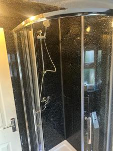 ducha con puerta de cristal y aseo en Clayburn Circle Cosy Stay, en Basildon 9 fotos más