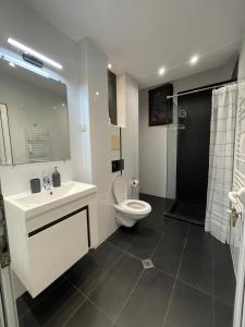 a bathroom with a toilet and a sink and a shower at Cinema house at Sofia center in Sofia