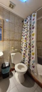 a bathroom with a toilet and a shower curtain at Hostal La Base in Puerto Natales +30 photos