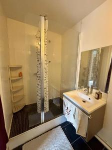 un bagno con doccia e lavandino di Maison Pollete - Évasion au Cœur de Dieppe a Dieppe