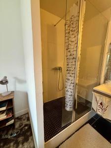 una ducha con puerta de cristal en un baño en Maison Pollete - Évasion au Cœur de Dieppe, en Dieppe