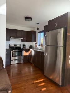 a kitchen with a stainless steel refrigerator and wooden cabinets at Le Chalet d'Isabelle in La Conception