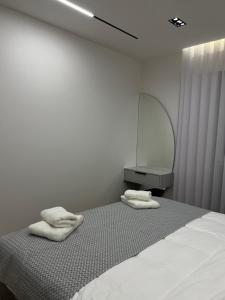 Katil atau katil-katil dalam bilik di Gjilan Center Apartment +1 gambar