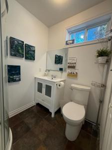 a bathroom with a toilet and a sink and a window at Le Chalet d'Isabelle in La Conception +15 photos