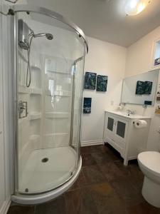 a bathroom with a shower and a toilet and a sink at Le Chalet d'Isabelle in La Conception
