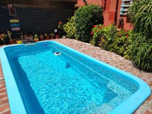 a blue swimming pool in a yard with plants at El Paraíso in Necochea +12 photos