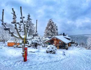 Una cabaña de esquí con nieve en el suelo y un árbol. en Apartmán Schwaderbach, en Bublava 64 fotos más