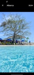 a tree in front of a building with a tree at BAIA KRISTAL CARTAGENA Mi descanso ideal in Cartagena de Indias +47 photos