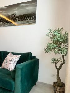 Gallery image of Studio meublé premium in Dakar