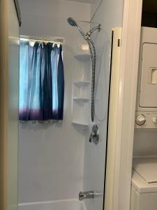 een douche in een badkamer met een douchegordijn bij Gîte des étoiles in Notre-Dame-Des-Bois +24 foto's