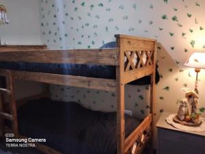 a bunk bed in a room with a wall with green butterflies at Cabaña Terra Nostra in Potrerillos