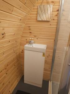 une salle de bain avec toilettes et lavabo dans l'établissement Blackditch hideaway cabin, à Kildare