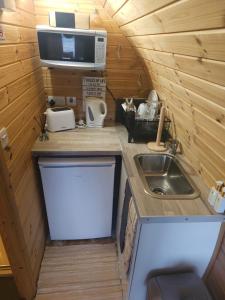 une petite cuisine avec un évier et un micro-ondes dans l'établissement Blackditch hideaway cabin, à Kildare