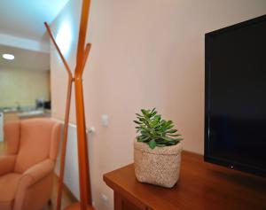a plant sitting on a table next to a television at A 2 min de Grandvalira I Ski, Vistas, Wifi y Parking in Soldeu